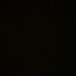 Meet your Posher, Jayda